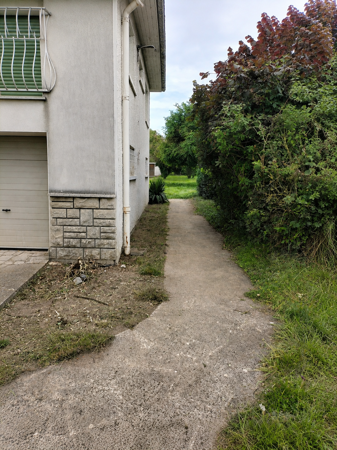 Jardin entretenu après débroussaillage à Nancy — Ben Débarras