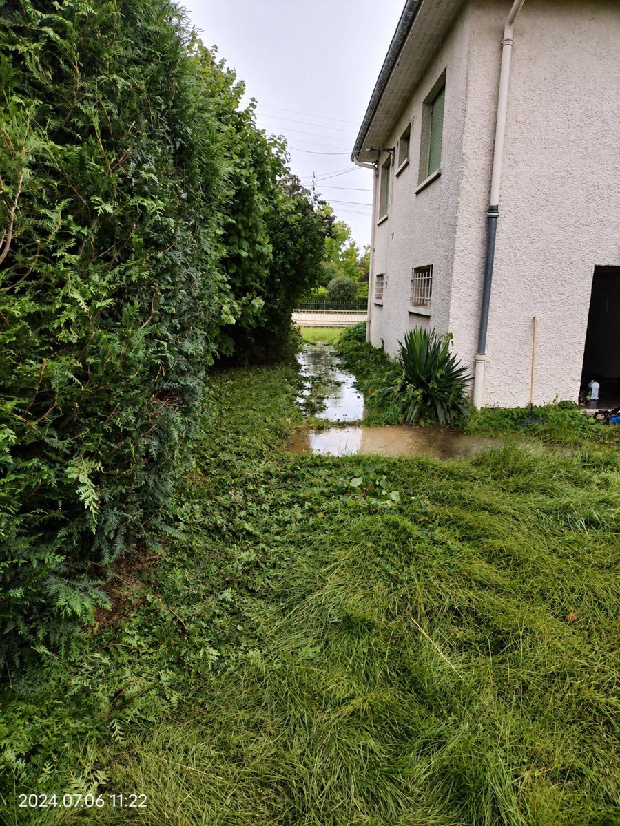 Herbe haute et flaque le long d'une maison