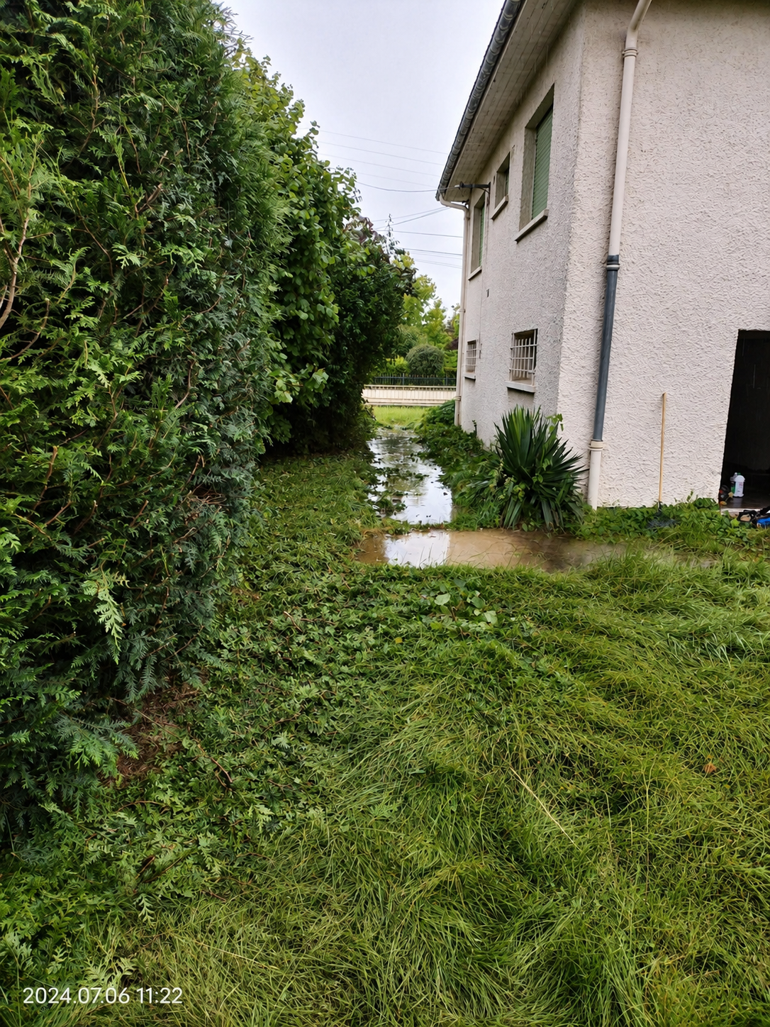 Terrain avant débroussaillage et jardinage à Nancy
